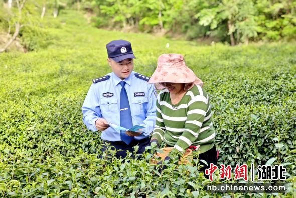 竹溪县公安局水坪派出所民警在茶园反诈宣传。